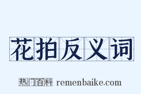 花拍反义词是什么意思的图片